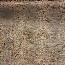 TALENTI 40. . Bernini. Galleria Arben