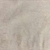 TALENTI 14. . Bernini. Galleria Arben