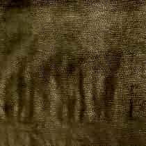 TALENTI 11. . Bernini. Galleria Arben