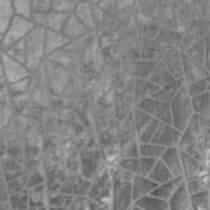 RAFFLES 03 ETCHED. . Trend. Galleria Arben