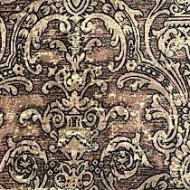 CORTONA 01. . Bernini. Galleria Arben