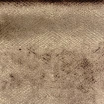 FUGA 02. . Bernini. Galleria Arben