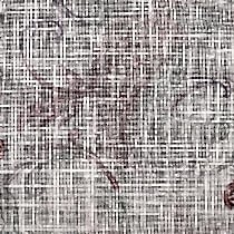 Toscana. . Toscana 18. Современные ткани. Коллекции из Европы, Турции, Индии